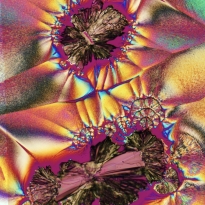 Microscopic Photography of recrystallized chemicals